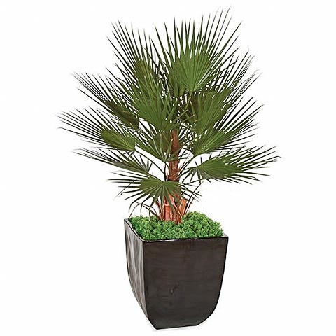 5 Foot PVC Washingtonia Palm Tree