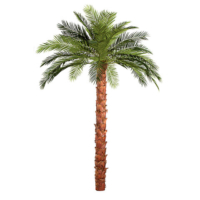 13 Foot IFR Phoenix Palm Tree