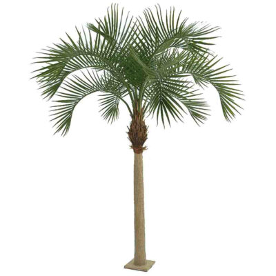 12.5 Foot Royal Palm Tree with Metal Base Plate