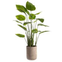 4.5 Foot Artificial Banana Tree in Cement Planter