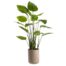 4.5 Foot Artificial Banana Tree in Cement Planter